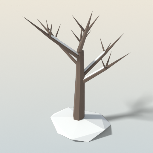 Bare Winter Tree