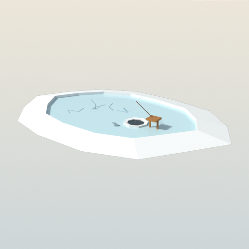 Frozen Pond
